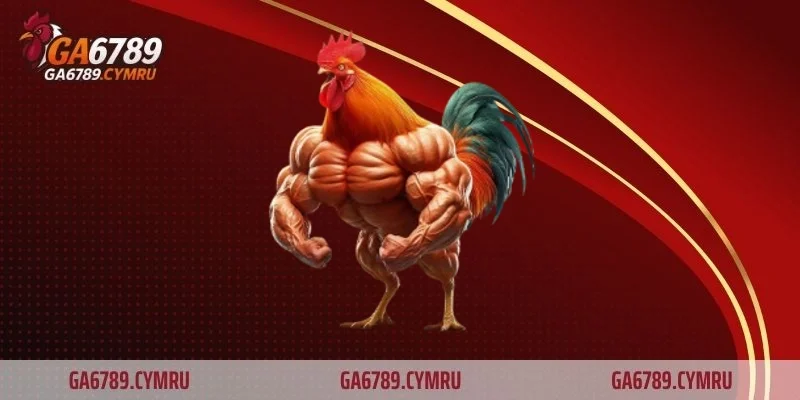 Đặc điểm nhận dạng gà chọi vảy rồng