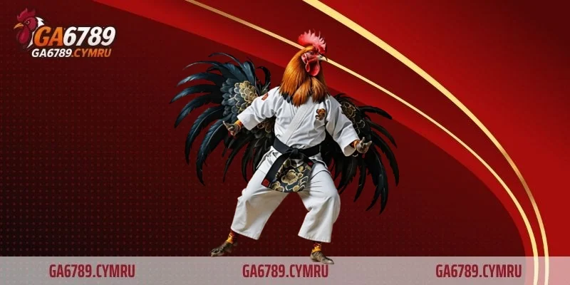 Mẹo đá gà cựa dao giúp chiến kê giành thế thượng phong tại GA6789